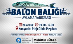 Oltacılar balon balığı için yarışacak