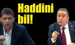 Haddini bil!