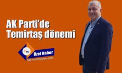 AK Parti'de Temirtaş dönemi