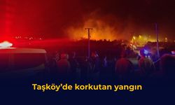 Taşköy’de korkutan yangın