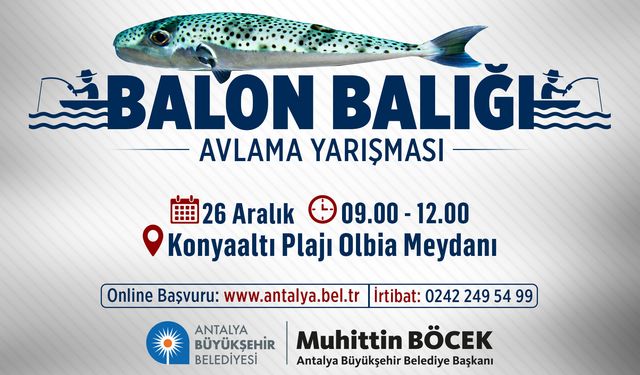 Oltacılar balon balığı için yarışacak