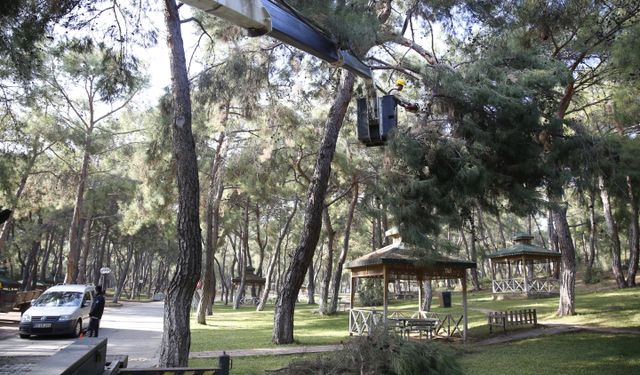 Hayvanat Bahçesi’ne kış bakımı