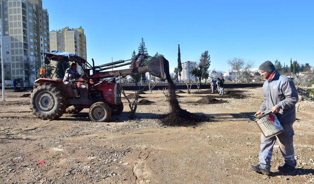 Kepez’in Ay Deresi yeşilleniyor