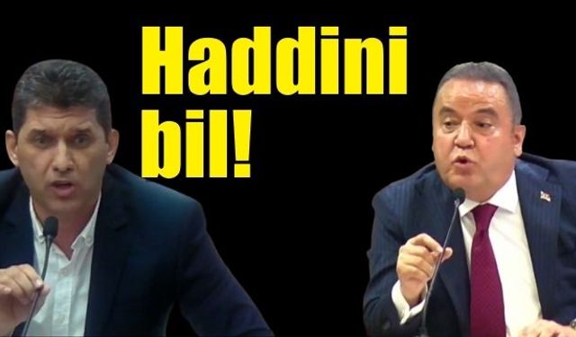 Haddini bil!