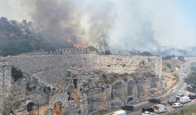 Yanan ormanlar yeniden ağaçlandırılmalı