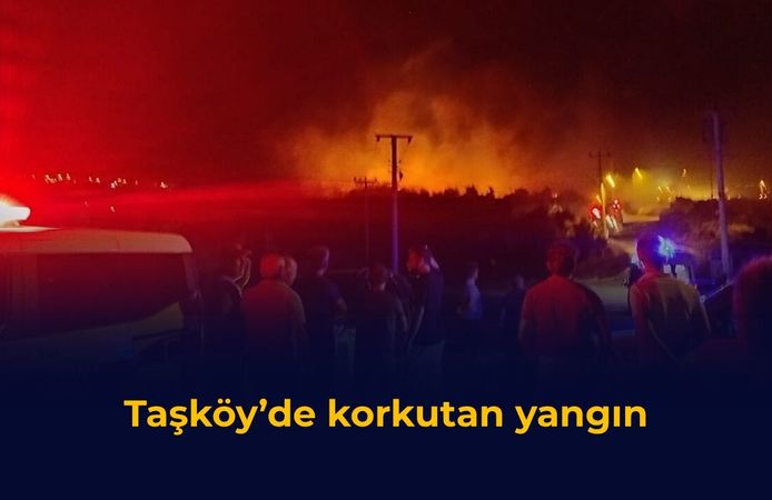 Taşköy’de korkutan yangın