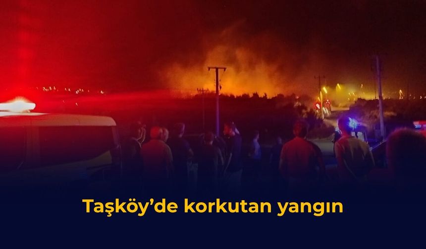 Taşköy’de korkutan yangın