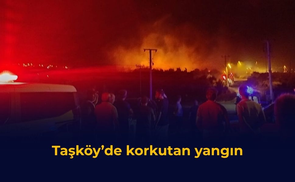 Taşköy’de korkutan yangın