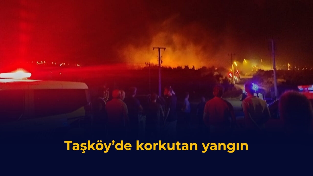 Taşköy’de korkutan yangın